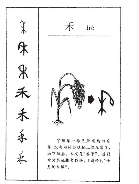 禾部首的名字|禾部首的字